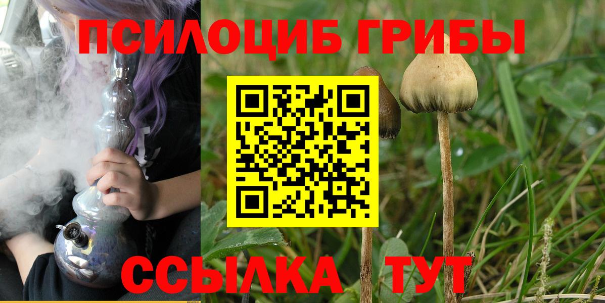 Галлюциногенные грибы мухоморы  Псилоцибиновые грибы мицелий  Вход с VPN  Нижневартовск 